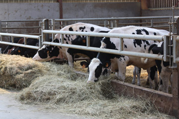 Visite ministérielle dans une exploitation agricole à Drouville (54)